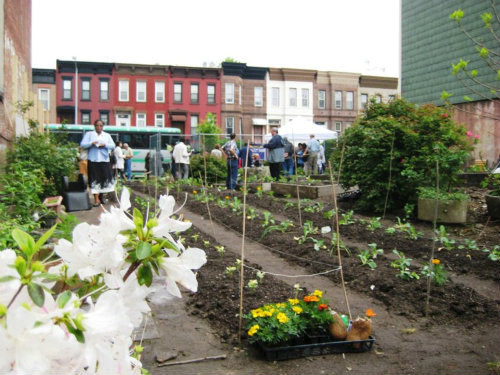 Urban Farm
